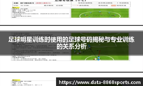 足球明星训练时使用的足球号码揭秘与专业训练的关系分析